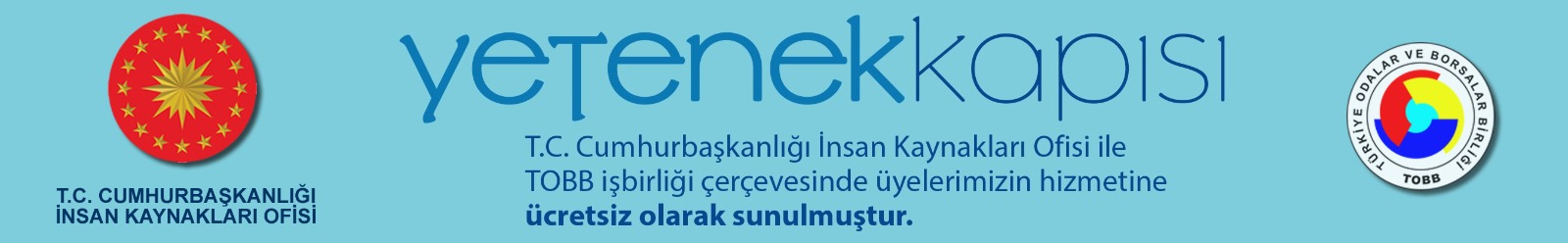 Yetenek Kapısı