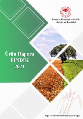 Ürün Raporu Fındık 2021