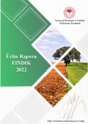 Fındık Ürün Raporu 2022