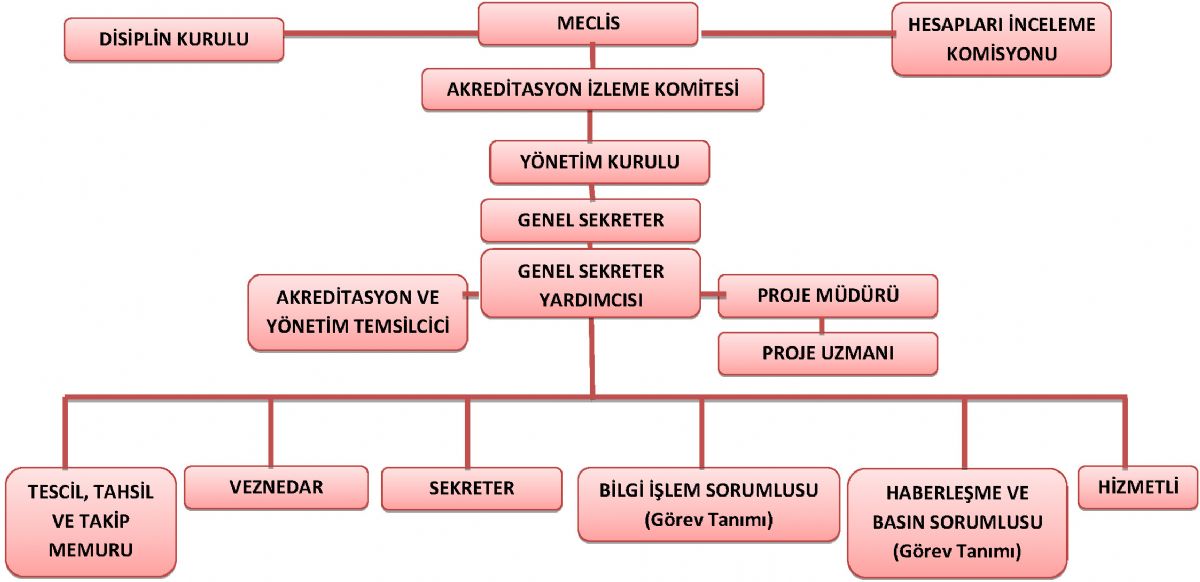 Organizasyon